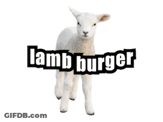 Lamb Burger With Lettuce And Cheese On Sesame Bun GIF