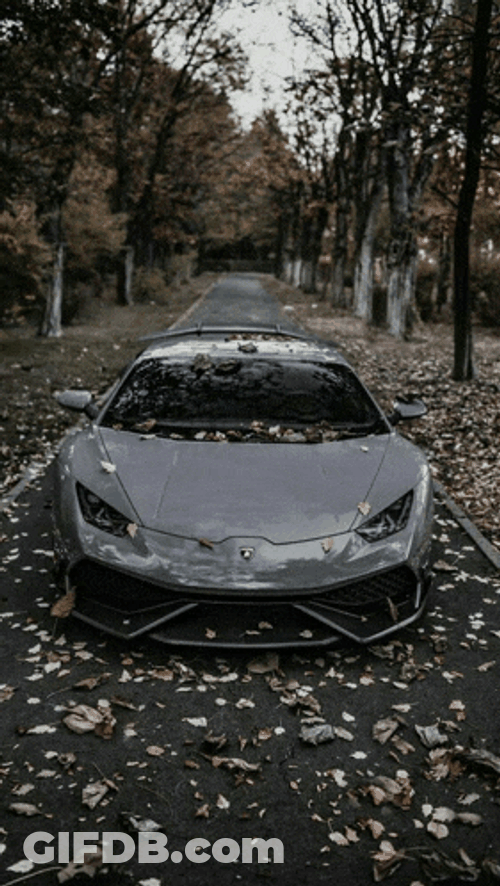 Lamborghini Asthetic Meme GIF