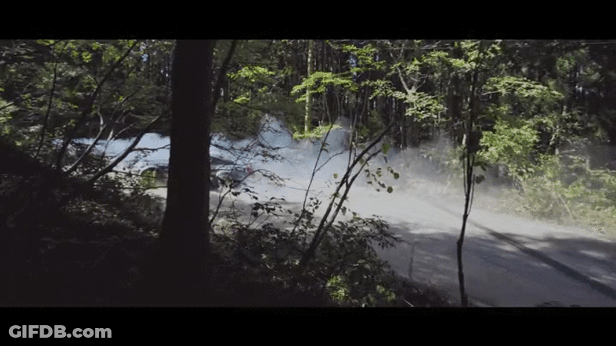 Lamborghini Cars Race Drifting In Forest GIF