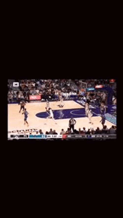 Lamelo Ball NBA Highlight GIF