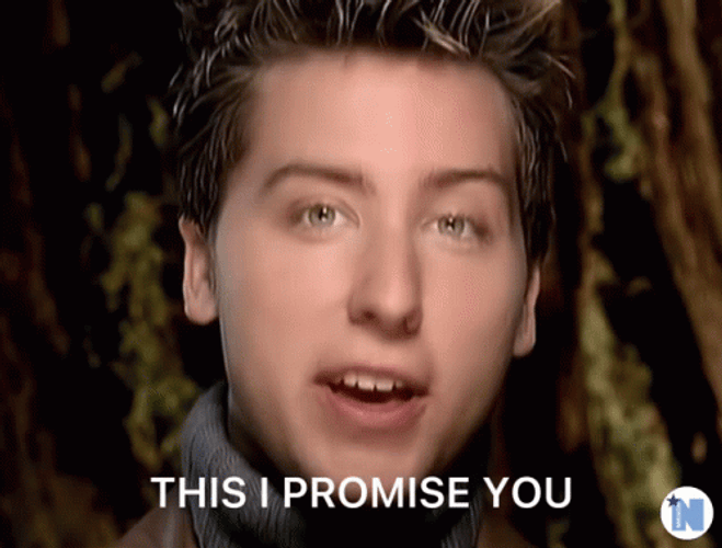 Lance Bass Nsync GIF