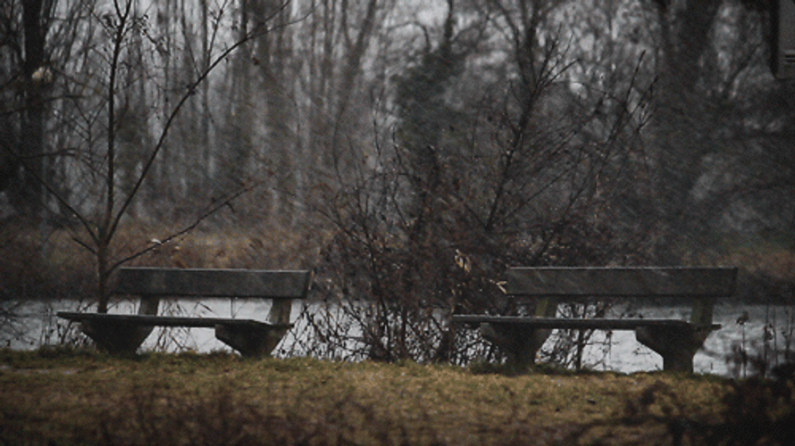 Landscape Lake Park Rainy GIF