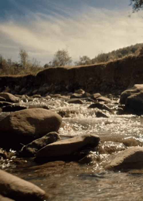 Landscape River Stream GIF