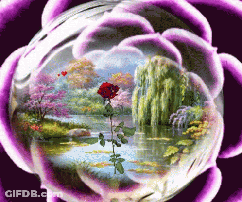 Landscape With Rose GIF