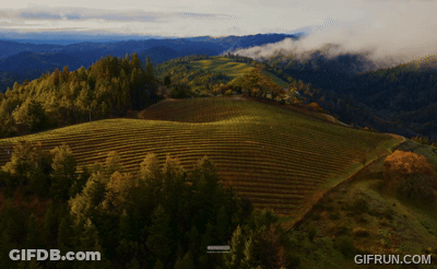 Landscape With Trees And Mountains GIF