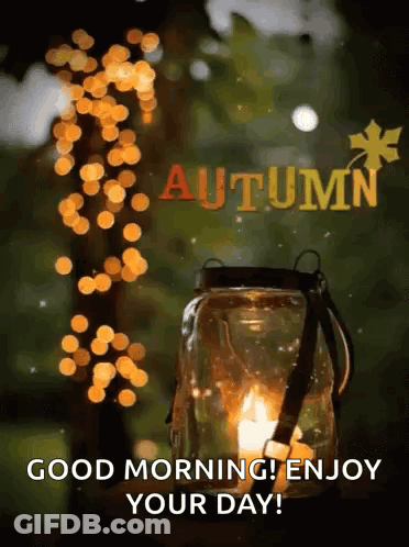 Lantern Saying Good Morning Enjoy Your Day GIF