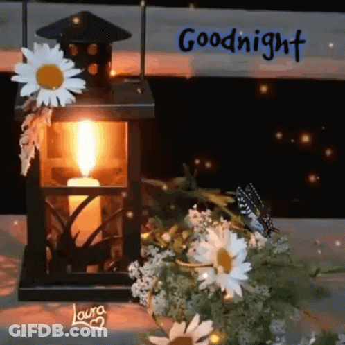 Lantern With Candle Surrounded By Daisies And Butterfly GIF