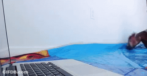Laptop On Table Next To Blue Blanket GIF