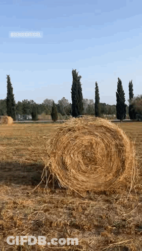 Large Bale Of Hay In Field GIF