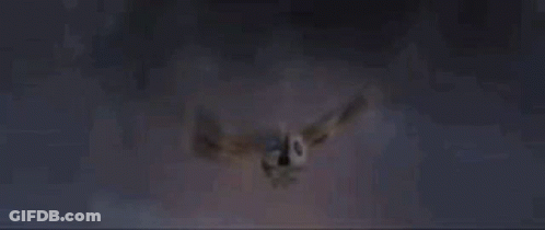 Large Bird Flying In The Dark GIF