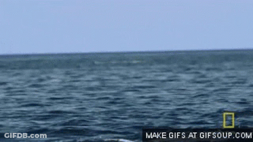 Large Body Of Water Make GIFs At Gifsoup GIF