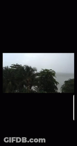 Large Body Of Water Surrounded By Palm Trees In The Rain GIF