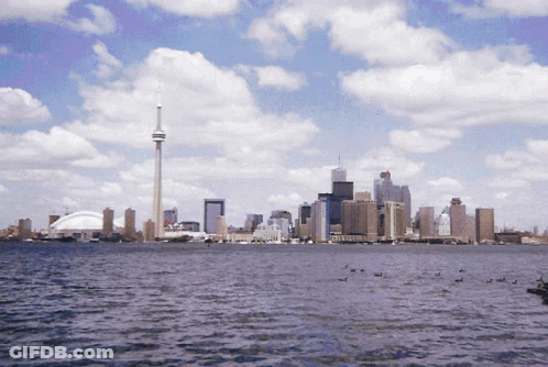 Large Body Of Water With City Skyline GIF