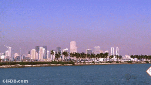 Large Body Of Water With Palm Trees And Buildings GIF