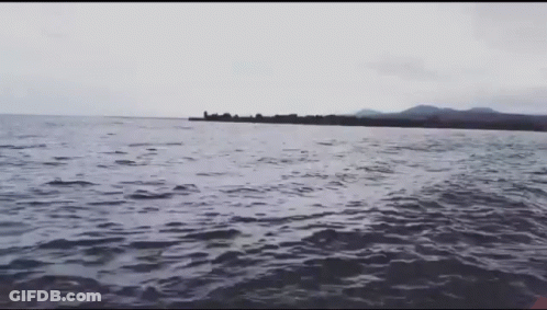 Large Body Of Water With Small Island GIF