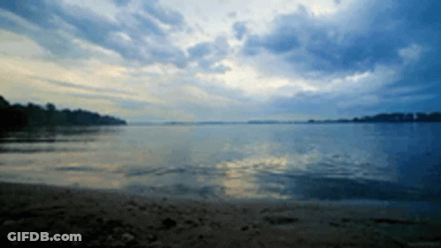 Large Body Of Water With Trees In Distance GIF