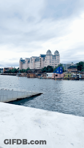 Large Building Behind Water With Boats GIF