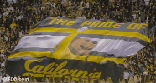 Large California Flag With Bear GIF