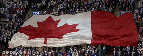 Large Canadian Flag Held Up In Stadium GIF