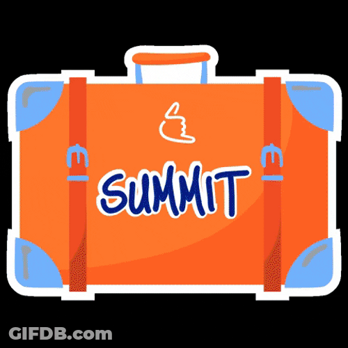 Large Colorful Luggage GIF