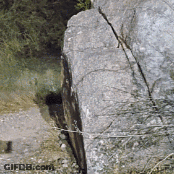 Large Cracked Rock Surrounded By Grass And Trees GIF