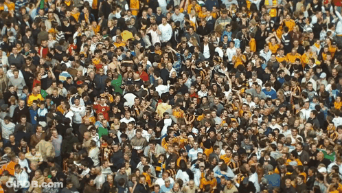 Large Crowd In Stadium With Yellow Jersey Number 8 GIF