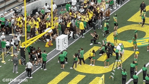 Large Crowd On Football Field With Word Prime GIF