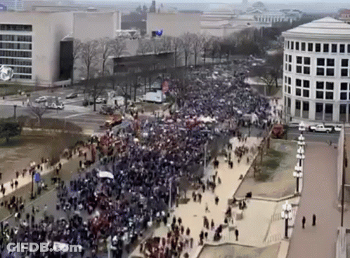 Large Crowd Walking Down Street In Front Of Building GIF