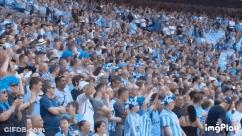 Large Crowd Watching Soccer Game GIF