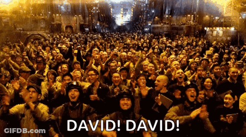 Large Crowd With David David GIF
