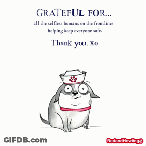 Large Eyes Dog Thankful For You GIF