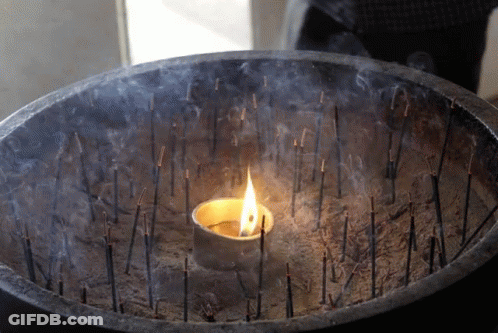 Large Factory With Smoking Chimneys GIF