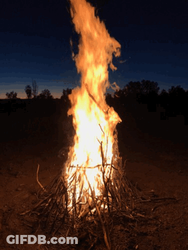 Large Fire Burning In Dark With Trees GIF
