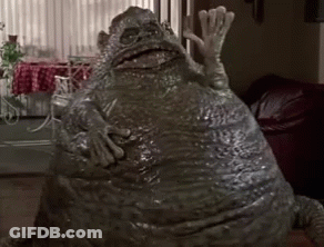 Large Frog Sitting In Living Room GIF