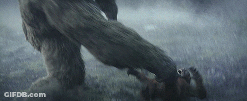 Large Furry Animal Standing On Smaller Animal GIF