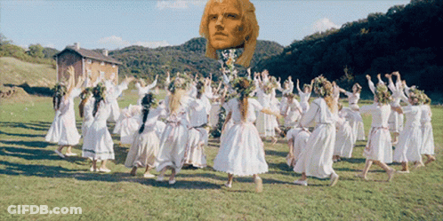 Large Group Dancing In Field GIF