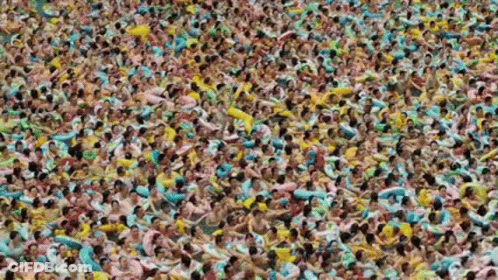 Large Group Of People Swimming In Pool With Floats GIF