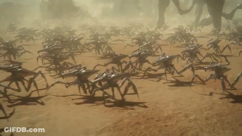 Large Group Of Spiders Walking In Desert GIF