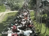 Large Group Sitting On Train GIF