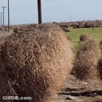 Large Hay Pile In Field GIF