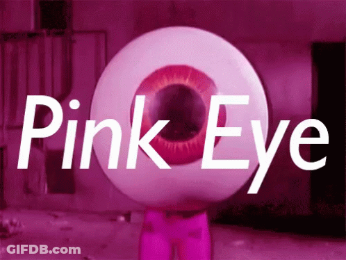 Large Pink Eye Saying Pink Eye GIF