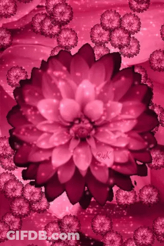 Large Pink Flower Surrounded By Smaller Flowers GIF