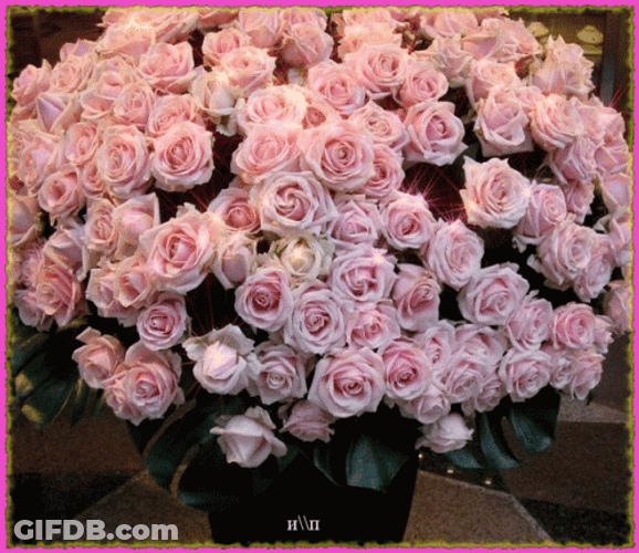 Large Pink Rose Bouquet GIF