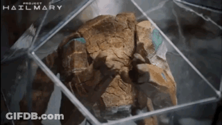 Large Rock In Clear Cube With Hailmary GIF