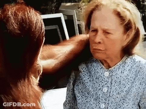 Large Screen Displays Drag Queen At ACL Festival GIF