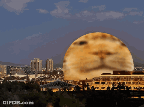 Large Spherical Face In City GIF