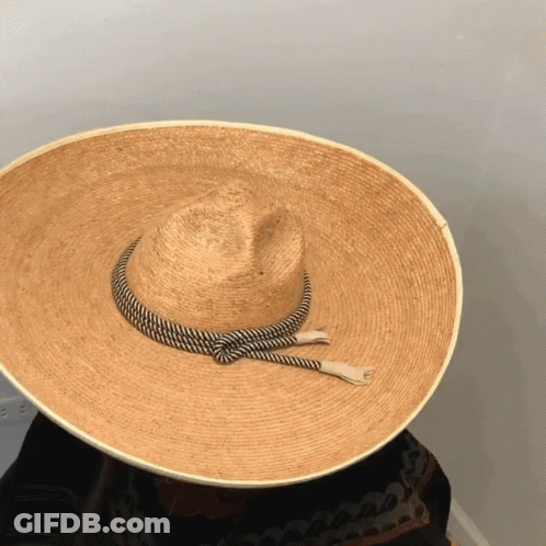 Large Straw Hat With Rope Brim GIF