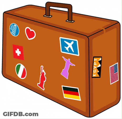 Large Suit Case GIF