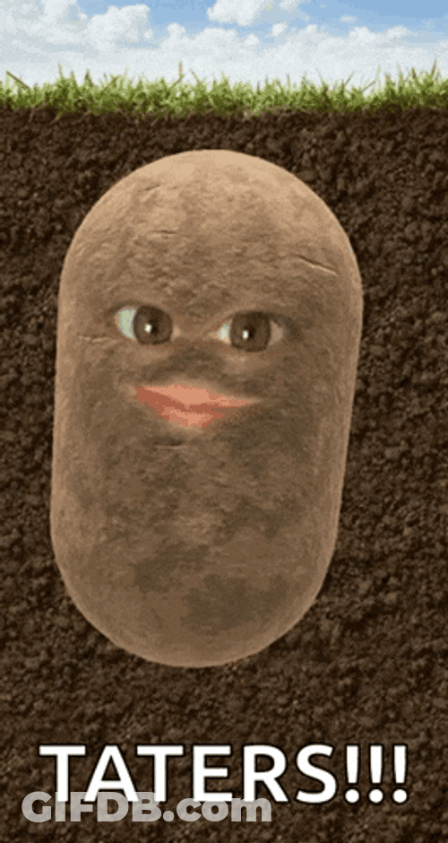 Laris Tater GIF