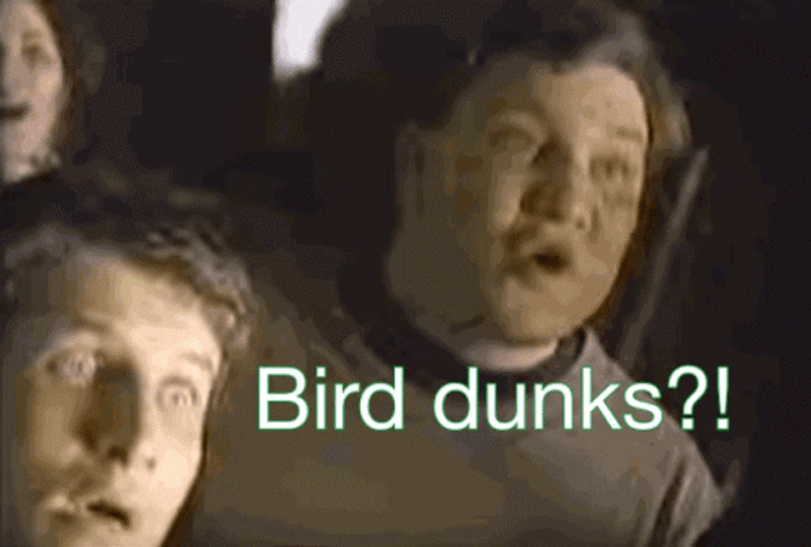 Larry Bird Dunks GIF